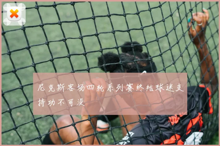 尼克斯客场四轮系列赛终结球迷支持功不可没